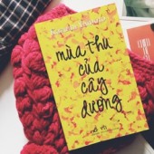 “Mùa thu của cây dương” hay mùa của những yêu thương